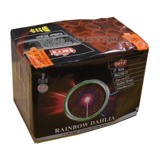 Rainbow Dahlia 27 ran