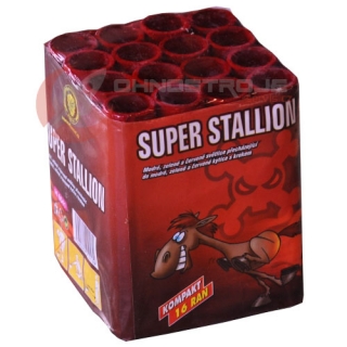 Super Stalion 16 Ran