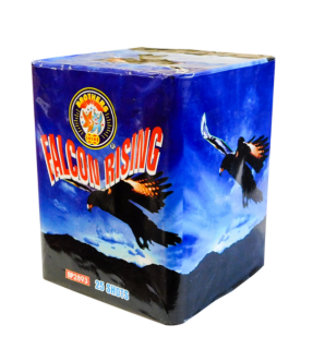 Falcon Rising 25 Ran